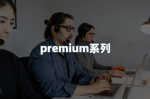 premium系列